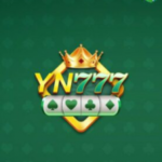 YN777